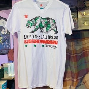 Purchased at Disney parks resort